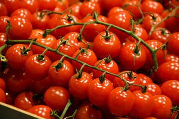 Fresh red organic cherry tomatoes on the counter in the supermarket.