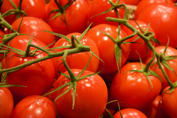 Fresh red organic cherry tomatoes on the counter in the supermarket.