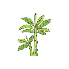 Obraz premium One continuous line drawing of beauty and fresh banana tree. Decorative banana plant concept for plantation company. Agriculture cultivation. Trendy single line draw graphic design vector illustration