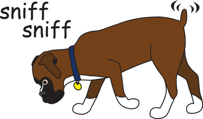 Dog sniffing