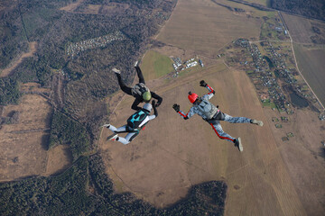Skydiving. A team of skydivers is in the sky. Freefalling. 