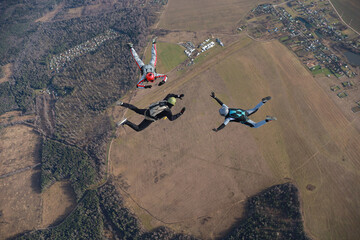 Skydiving. A team of skydivers is in the sky. Freefalling. 