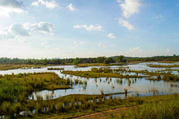 Flooded fields