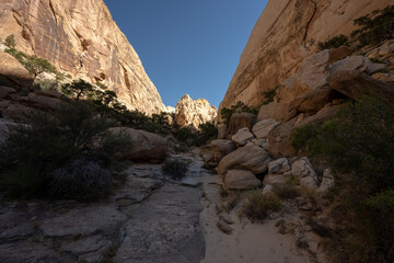 Fototapeta na wymiar Sandy Wash At The Bottom of a Rock Canyon