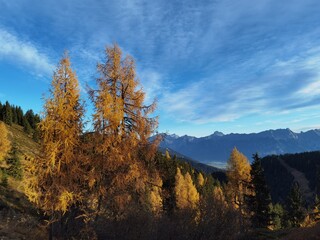 golden autumn - beautiful view of the alps in austria, salzburg, pinzgau at a autumn evening with a golden larch in the foreground