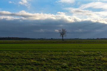 Fototapeta na wymiar Zielone pola na wsi i zachmurzone niebo.