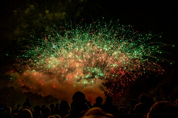 A crowd of silhouetted people watching fireworks exploding in the night sky