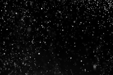 Falling Snow down On The Black Background