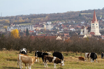Autumn in Romania