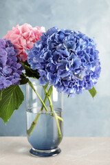 Vase with beautiful hortensia flowers on light table against color background