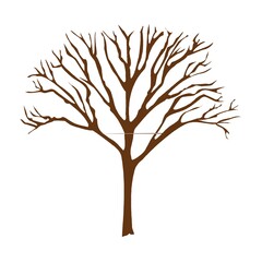 dry tree and branch autumn season vector design