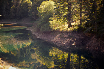 Autumn in the Pyrenees