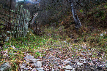 Autumn idyll in Sadu, Romania