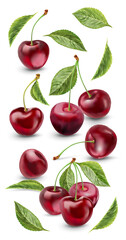 Realistic cherry with fresh leaves, red juicy on a white background for design.