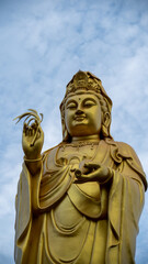 Fototapeta na wymiar The guan yin buddha statue