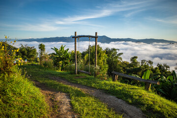 vineyard in the morning with sea foggy on Thailand