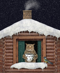 A beige cat drinks coffee in its log house on a snowy winter evening. - 467956390