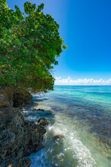 Fototapeta na wymiar Palm Ocean Sky caribbean coast