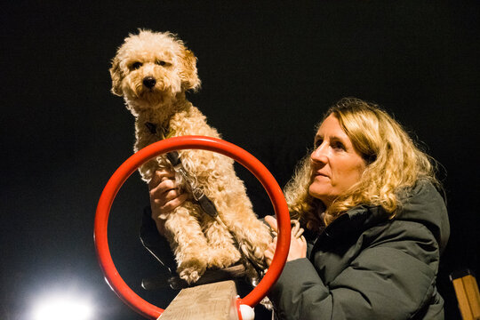 Stockholm, Sweden A woman with a bichpoo dog on a seesaw in a playground.