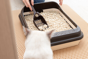 female hands cleaning cat litter box with scoop. Pet care, hygiene concept. blurred foreground....