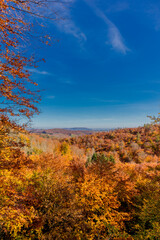Fototapeta premium Herbstspaziergang rund um die Wartburgstadt Eisenach am Rande des Thüringer Waldes - Thüringen