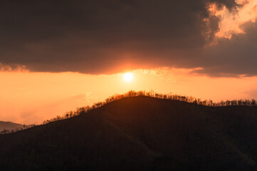 The sun over mountain peak with dried tree