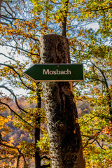 Herbstspaziergang rund um die Wartburgstadt Eisenach am Rande des Thüringer Waldes - Thüringen