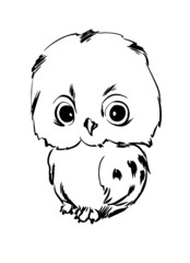 Cute baby owl illustration, Forest bird, hand drawn, Vector illustration