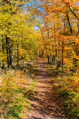 Plakat Herbstspaziergang rund um die Wartburgstadt Eisenach am Rande des Thüringer Waldes - Thüringen