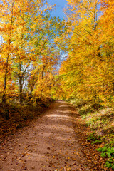 Herbstspaziergang rund um die Wartburgstadt Eisenach am Rande des Thüringer Waldes - Thüringen