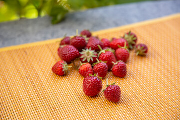 Erdbeeren