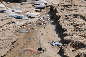 Meer - Strand - Ostsee 