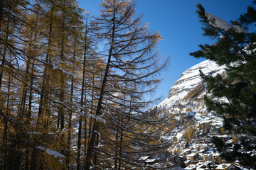 Matterhorn, Zermatt, Skiing, Winter Hiking, magical Landscape of Zermatt,  Glacier Paradies, Riffelberg, Furi, Rothorn, Monta Rosa, Dufourspitze,Visp, Sunnegga, Gornergrat, Randa, Tasch, Zmutt, Liskam