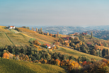 Fototapeta na wymiar Weingärten in Herbstfarben in Südsteiermark 