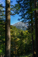 Blick durch die Bäume auf einen Berg mit dem ersten Schnee im Herbst in Österreich - Vorarlberg