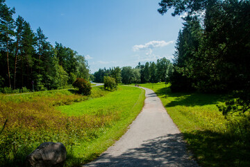 Road through a field in the forest, clear weather