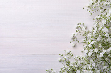 Beautiful gypsophila flowers on white wooden background, flat lay. Space for text