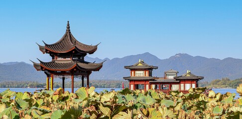 Beautiful scenery at Hangzhou West Lake, lotus by the Jixian Pavilion as tour boat crosses the lake