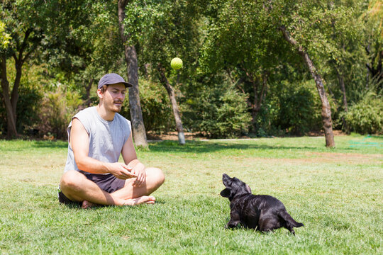 Young man sitting on grass playing with black dog looking at tennis ball on air. Male owner training pet at park on sunny day