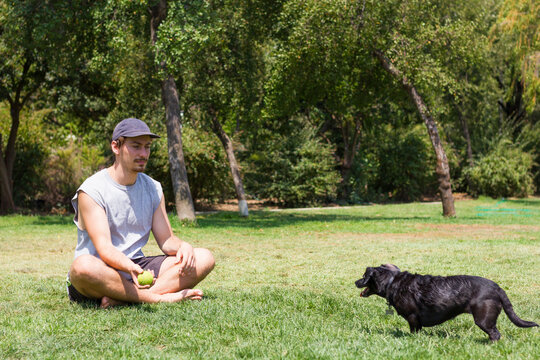Young man playing with black dog showing him tennis ball at park. Male owner training pet sitting on grass on sunny day