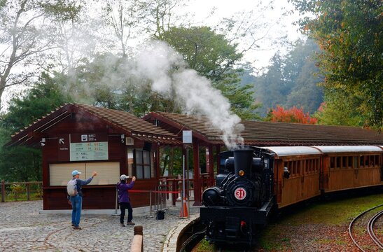 A tourist train of retro carriages, hauled by a vintage steam locomotive, departing from a station in the lush forest and people taking photos of the antique locomotive, in Alishan, Chiayi, Taiwan