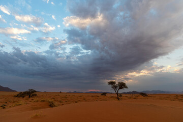 Fototapeta na wymiar Blue clouds and red sand dunes in the Namib Desert