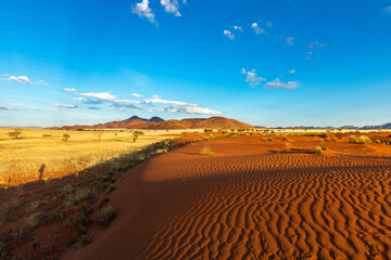 Wind swept red sand dune in Namib Desert