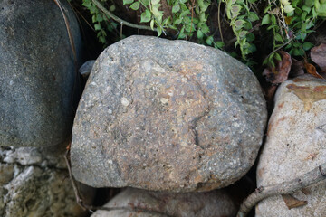 Cobble of Andesite extrusive volcanic rock