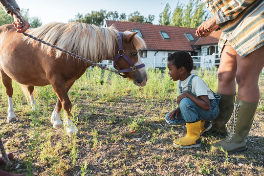 Boy crouching while looking at pony with family