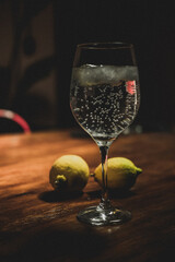 Copa de gin tonic
