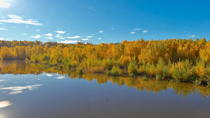 Aerial view of a pond along the Truckee River just East of Reno, Nevada, with vibrant colored Autumn trees and nice reflections 