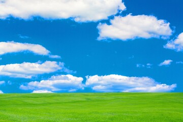 Fototapeta premium Green meadows with blue sky and white clouds background.