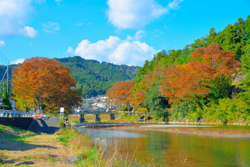 Fototapeta na wymiar 東京都あきる野市　秋川の渓流/ Akiruno city Tokyo・Akigawa Mountain stream