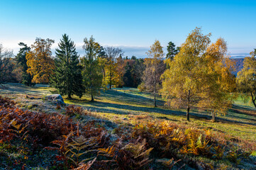 Schwarzwald ,Herbst 